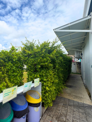 P19 Avenue Location